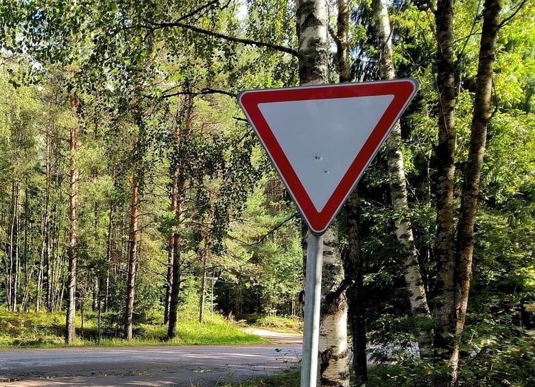Эксперты назвали вероятные причины смертельного ДТП в Амурской области Эксперты назвали вероятные причины смертельного ДТП в Амурской области