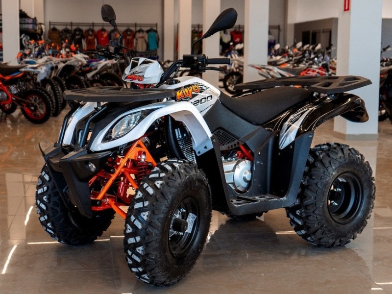 Выбираем квадрицикл в дачный гараж