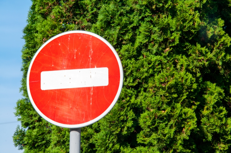 До смерти боятся холода и не только: все, что надо знать об электромобилях