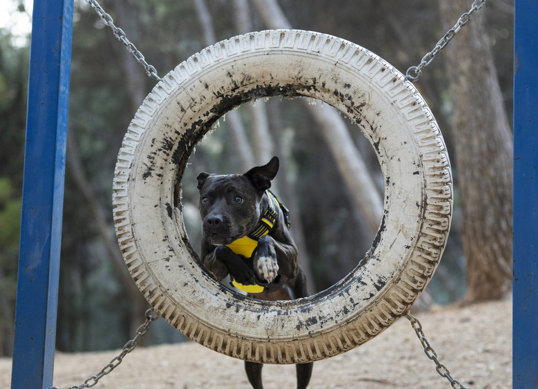Стало известно, какую долю российского рынка завоевали шины из Китая Стало известно, какую долю российского рынка завоевали шины из Китая